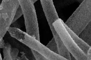 尖晶石型复合铁酸盐纳米管及其制备方法