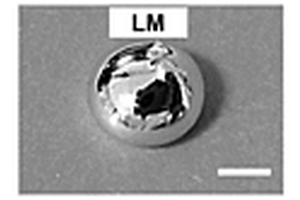 经液态金属改性的微纳米功能材料及其制备和应用