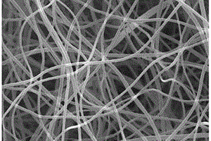 二硫化钼纳米片球/碳纳米纤维的制备及应用