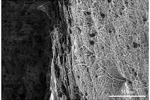 具有人工水通道的高通量复合纳米纤维膜的制备方法