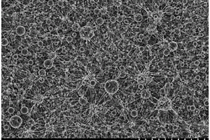 丝粒并列微纳米结构的电流体动力学制备方法