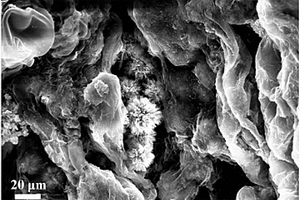 二维碳膜包覆海胆状二氧化钛复合材料的制备方法