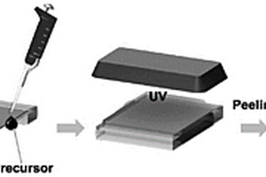 粘性光子晶体水凝胶传感器及其制备方法及应用