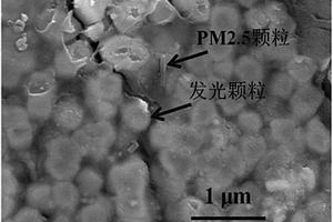 可示踪PM2.5颗粒复合材料及其制备方法