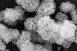四氧化三钴纳米中空球镶嵌碳片花状复合材料的制备方法及其应用
