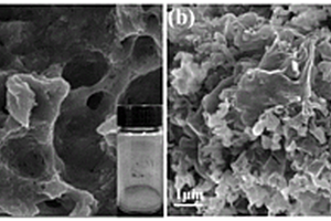 碱化氮化碳/细菌纤维素复合材料及其制备方法