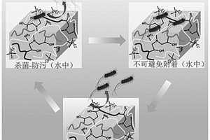 杀菌、低细菌粘附、细菌释放的抗菌水凝胶及其制备方法和应用