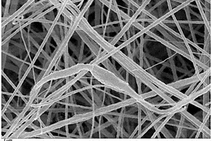 氨基石墨烯/聚偏氟乙烯压电纳米电纺膜的制备方法