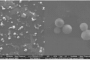 掺锌碳酸钙微球及其口腔护理产品与制备方法