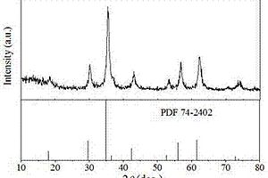 高饱和磁化强度Mn<sub>0.8</sub>Zn<sub>0.2</sub>Fe<sub>2</sub>O<sub>4</sub>纳米颗粒及其磁性液体的制备方法