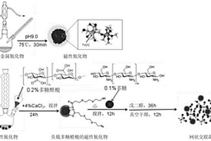 网状交联凝胶及制备方法和应用