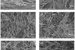 羊毛皮质细胞/PVA复合多孔材料及其制备方法
