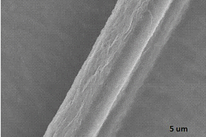 基于Langmuir‑Blodgett技术在分子水平涂层碳纤维的方法
