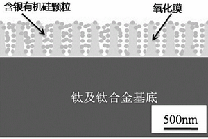 空间环境用基材表面抗菌结构及其制备方法