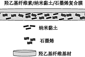 羟乙基纤维素/纳米黏土/石墨烯复合膜及其制法与应用