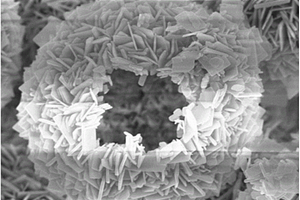 中空花状氢氧化镍微球复合材料及其制备方法与应用