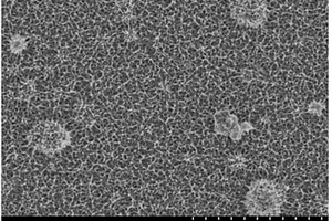 二氧化钒纳米多孔状薄膜及其制备方法