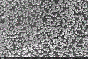 硫化锌纳米球阵列/泡沫石墨烯的制备及应用