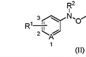 四氢呋喃参与的N-芳基-N-羟胺类化合物二氟丁氧基化的方法