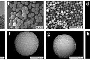 覆盆子型中空多孔聚合物微球的制备方法及其应用