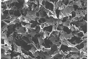 氧化石墨烯气凝胶及其制备方法和应用