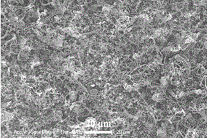 在氧化铝基片表面直接生长碳纳米螺旋或碳纳米球的方法
