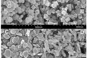 可控合成不同微观形貌纳米磁铁矿的方法