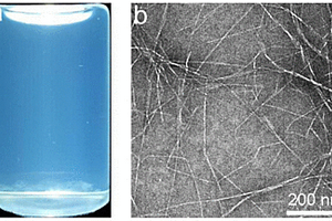羧基化纤维素纳米纤丝及其制备方法
