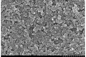氮化硼纳米颗粒光致发光荧光材料的制备方法
