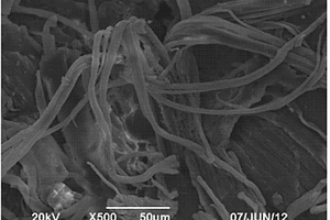 制备木质纤维素类生物质微晶纤维素的新工艺