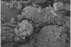 生物质碳/金属复合光催化材料的制备方法及应用