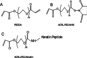 角蛋白肽修饰的聚乙二醇水凝胶，其制备方法与应用