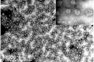 卡拉胶接枝苯硼酸疏水性纳米颗粒的制备方法