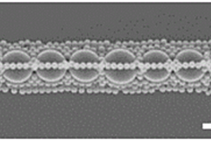 不同粒径的微米和/或纳米颗粒进行一维共组装的方法和基板与应用