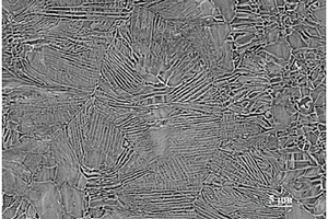 纳米尺度下的金属孔洞抗菌金属银及其制备方法