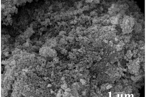 TiO<sub>2</sub>纳米颗粒包覆碳层电流变复合材料的制备方法