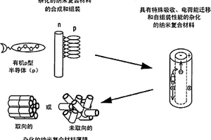 杂化的纳米复合材料