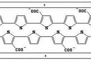 聚3-羧基噻吩/噻吩插层水滑石复合材料及其制备工艺