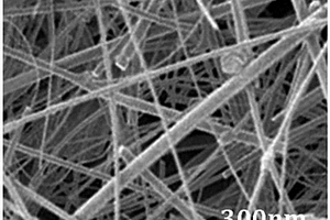 聚吡咯包覆铜纳米线的气凝胶复合材料及其制备方法