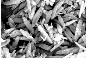 硫氮共掺杂多孔碳担载的三元过渡金属复合材料及其制备方法