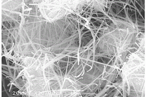 还原氧化石墨烯-硒纳米线水凝胶复合材料及其制备方法与应用
