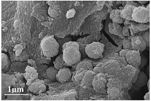 TiO<Sub>2</Sub>-SiO<Sub>2</Sub>氧化物复合材料及其制备方法