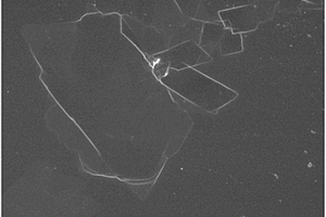 热塑性硫化橡胶纳米复合材料及其制备方法