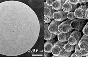 氨基功能化微米金与阴离子交换树脂复合材料的制备方法