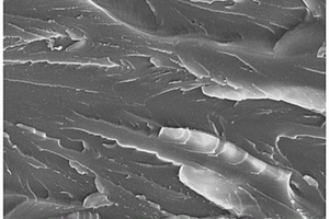 光-热双固化改性纳米纤维素增强环氧树脂复合材料及其制备方法