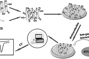 环糊精功能化的石墨烯复合材料修饰电极及其制备和应用
