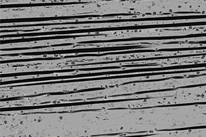 原位自生TiC颗粒与碳纤维耦合增强铝基复合材料的方法
