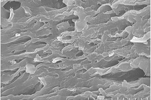 高介电性能聚偏氟乙烯碳化钛纳米片复合材料的制备方法