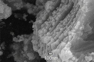 新型碳化钛/钯/铂纳米复合材料的制备方法