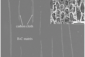 碳纤维布增强碳化硼复合材料及其制备方法和应用
